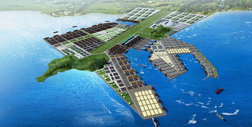 魅力茂名滨海新区 粤西发展新引擎，与湛江软件开发共谱产业新篇